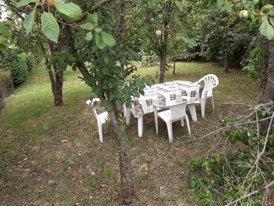Gite Des Vergers "Les Pommiers" Saint-Pierre-du-Regard Eksteriør billede